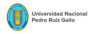 universidad-nacional-pedro-ruiz-gallo-lambayeque-20240930-1